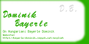 dominik bayerle business card